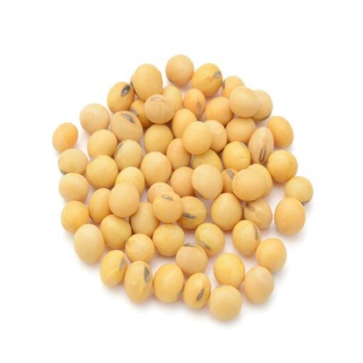 soybean products