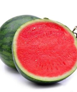 water melon for sale