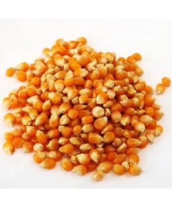 yellow corn price per ton